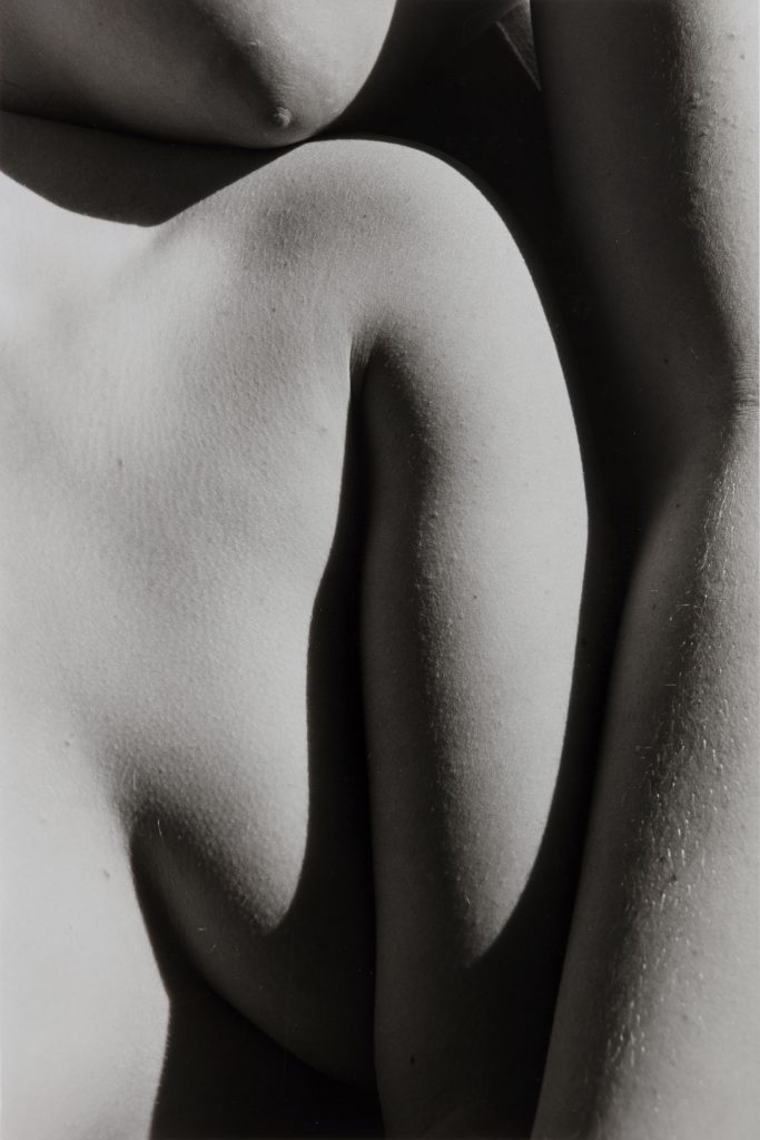 <i>Teenage Arms</i>
