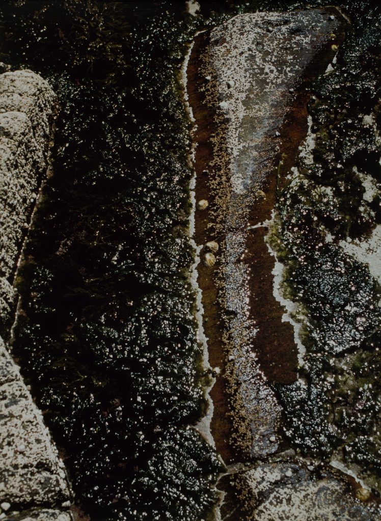 <i>Sans titre</i> <br/> série « Poémographie. Chant minéral »