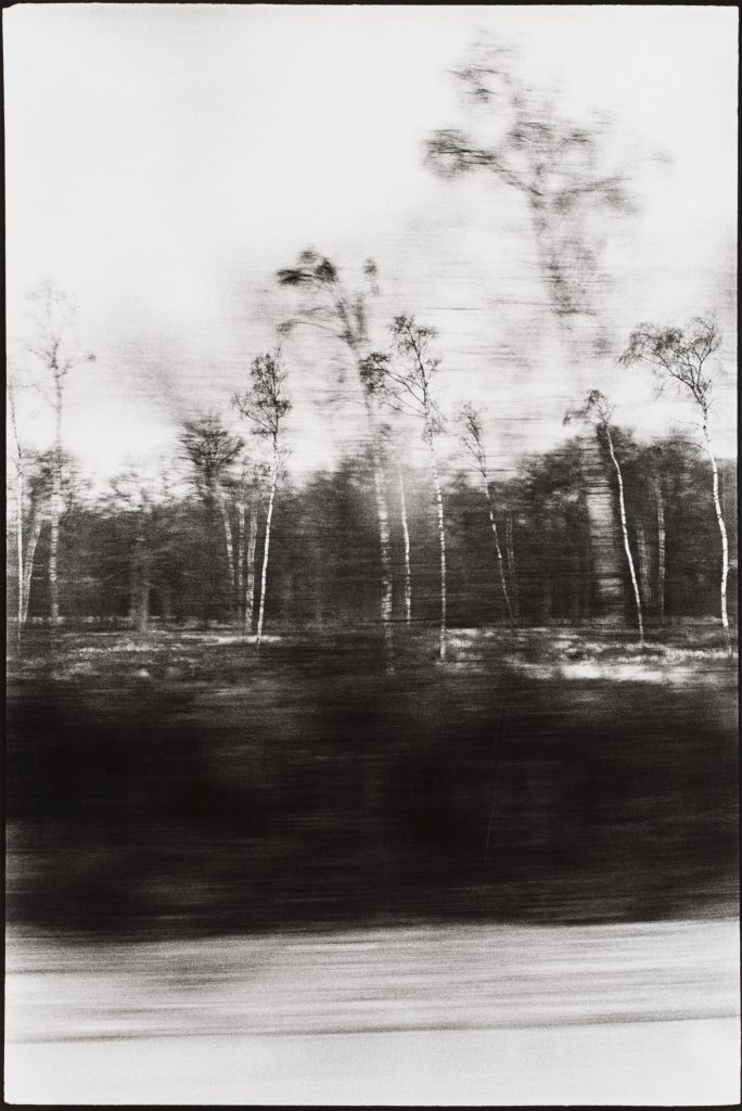 <i>Vallée de la Rance, septembre 1984</i>