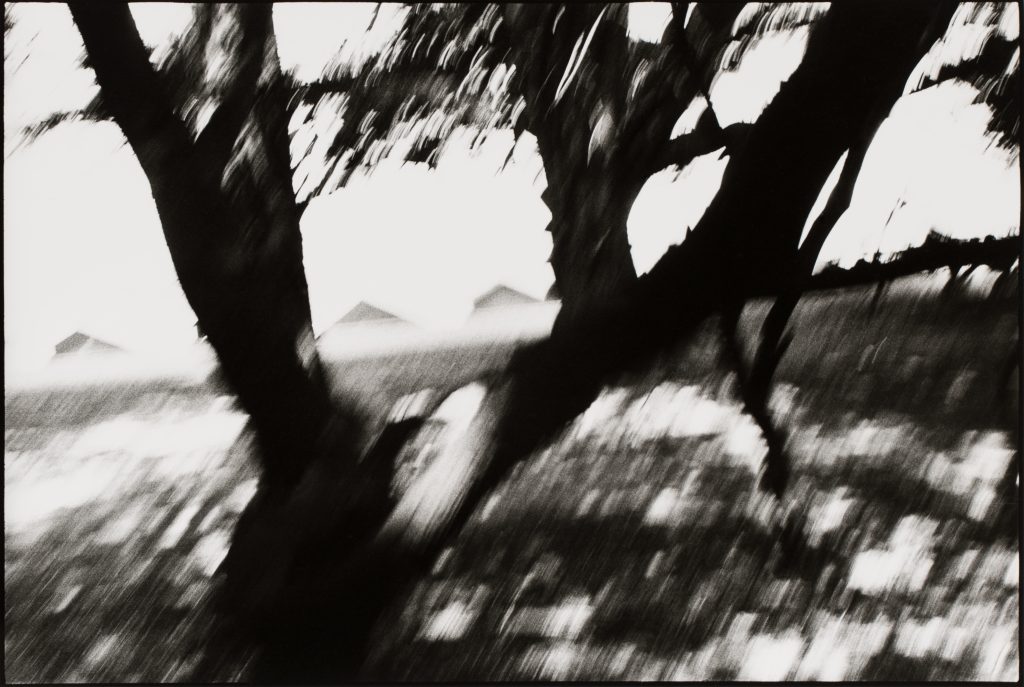 <i>Lancieux, septembre 1984</i>