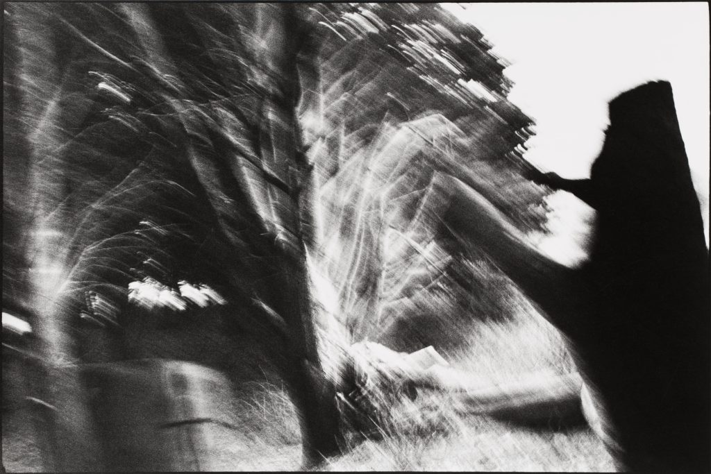 <i>Lancieux, septembre 1984</i>