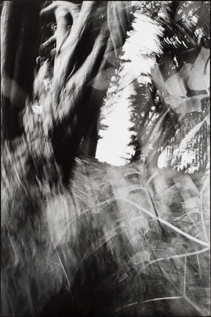 <i>Lancieux, novembre 1984</i>