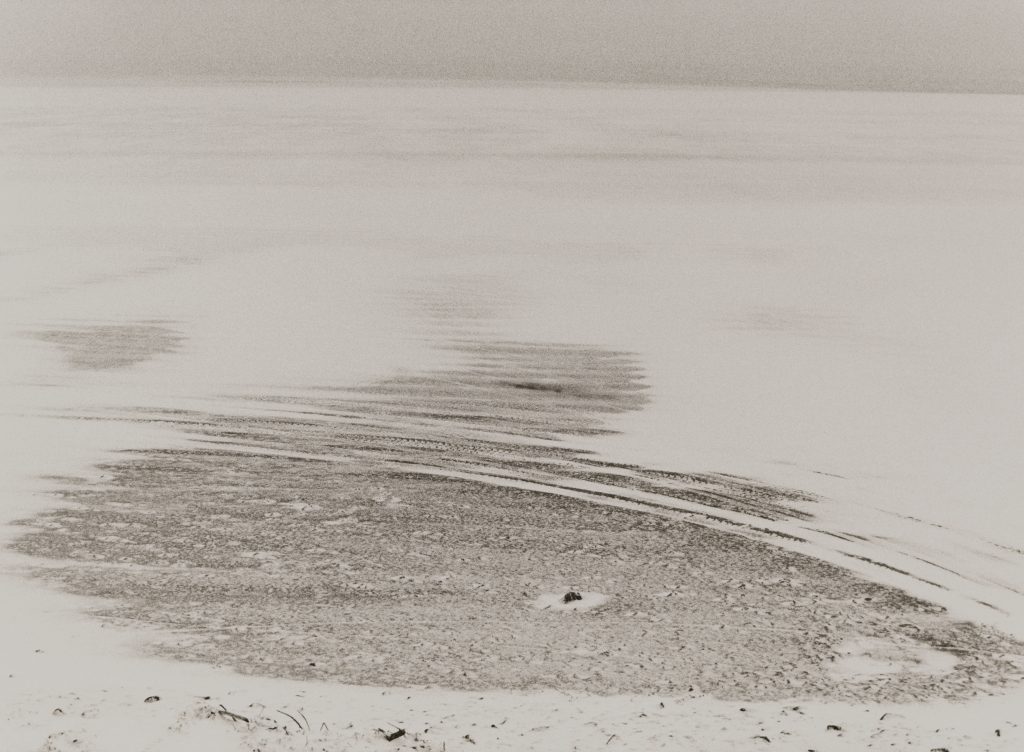 <i>Sans titre</i> <br/> série « Mouvances »