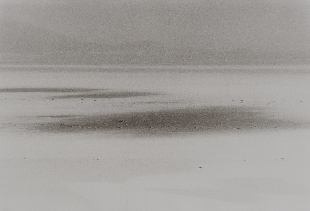 <i>Sans titre</i> <br/> série « Mouvances »