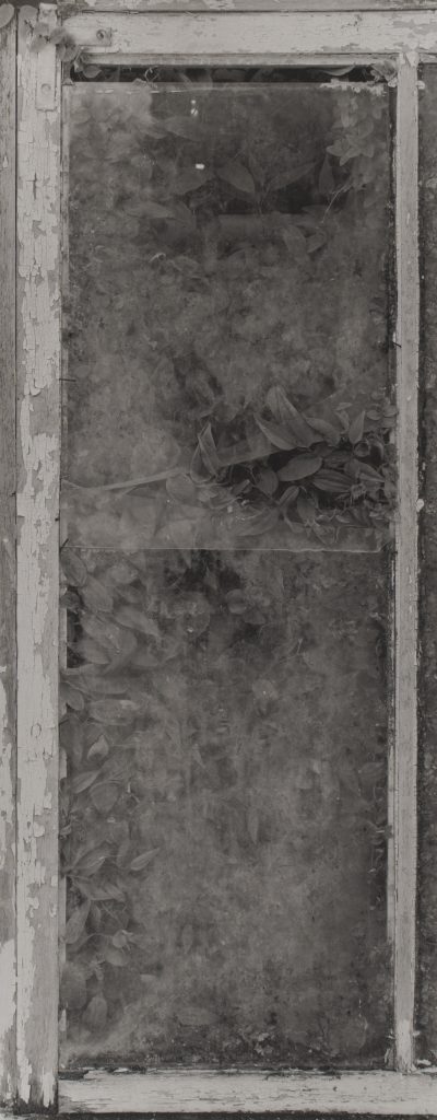 <i>Transposition II – 5</i>