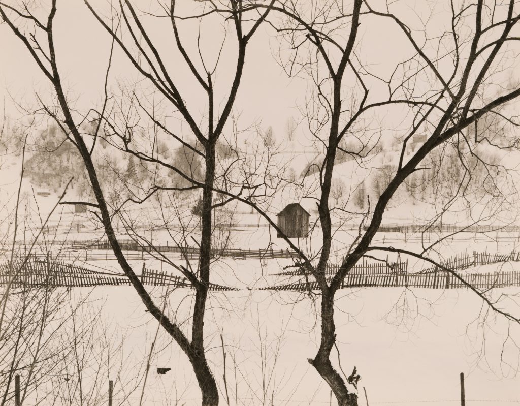 <i>Cabane derrière les arbres</i> <br/> série « Le voyage d’automne, le voyage d’hiver »
