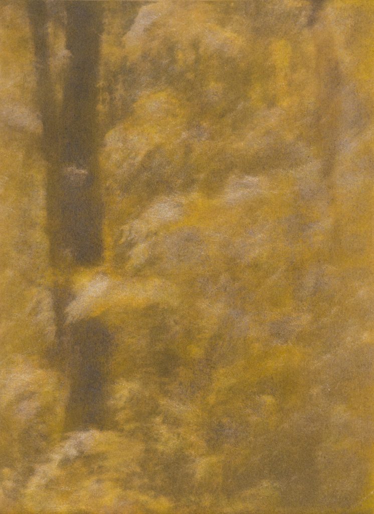 <i>Le Gâvre</i> <br/> série « Sous-bois »