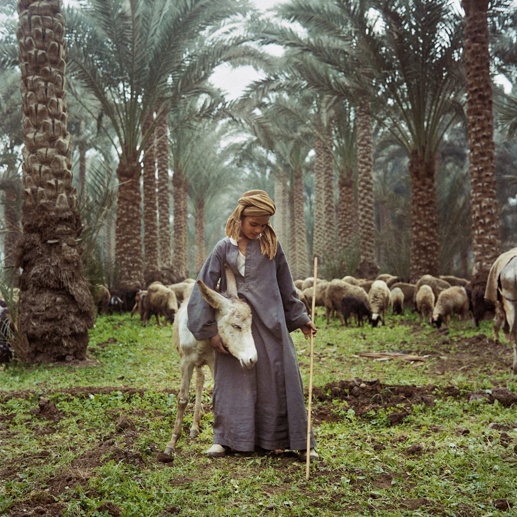 <i>Berger à Sabhara, 1996</i>