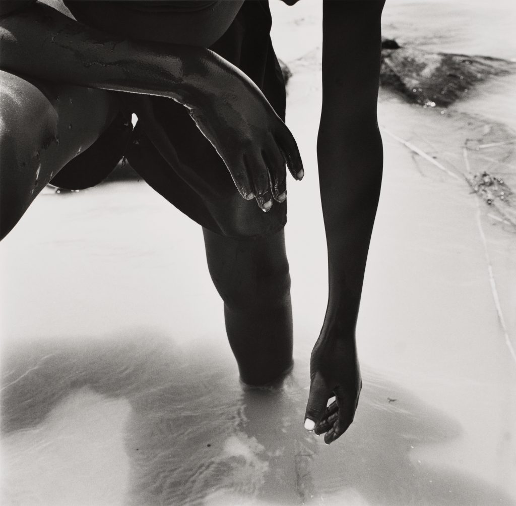 <i>Hamadou, le Peul</i> <br/> série « Le Don du fleuve »
