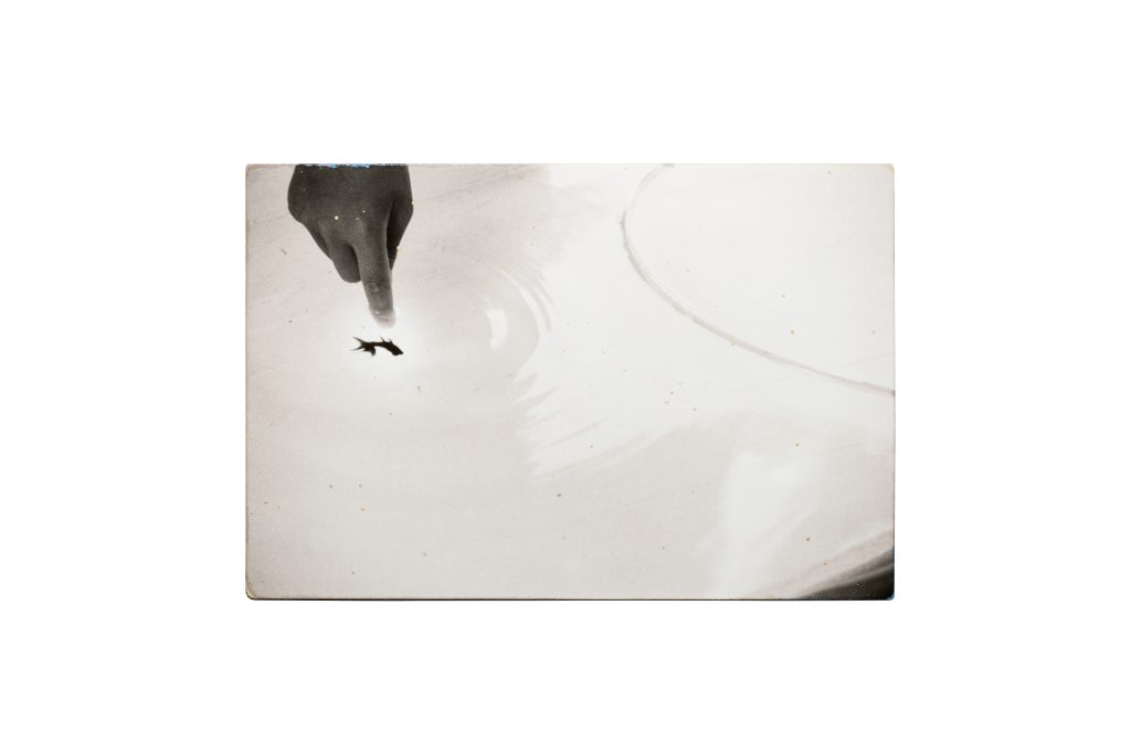 <i>#805</i> <br/> série « Nakazora »
