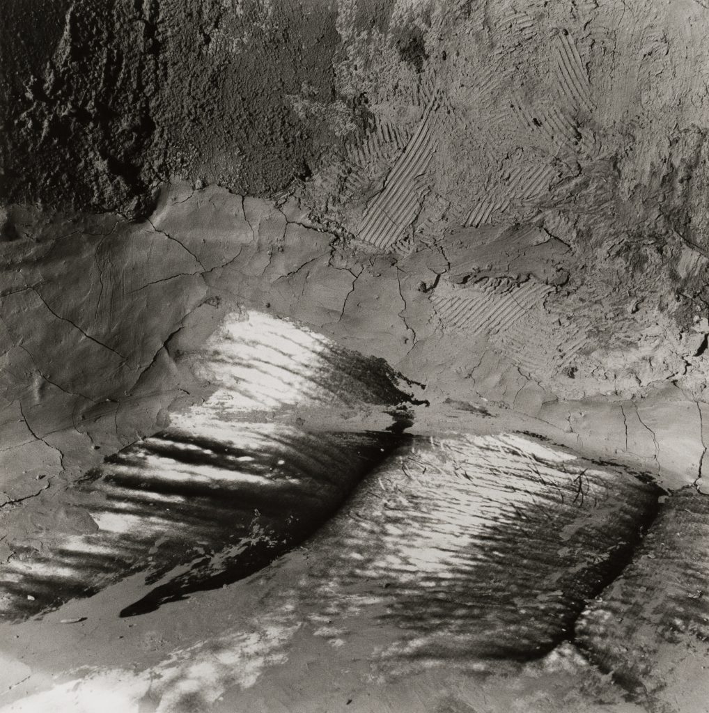 <i>Sans titre, 2001</i>