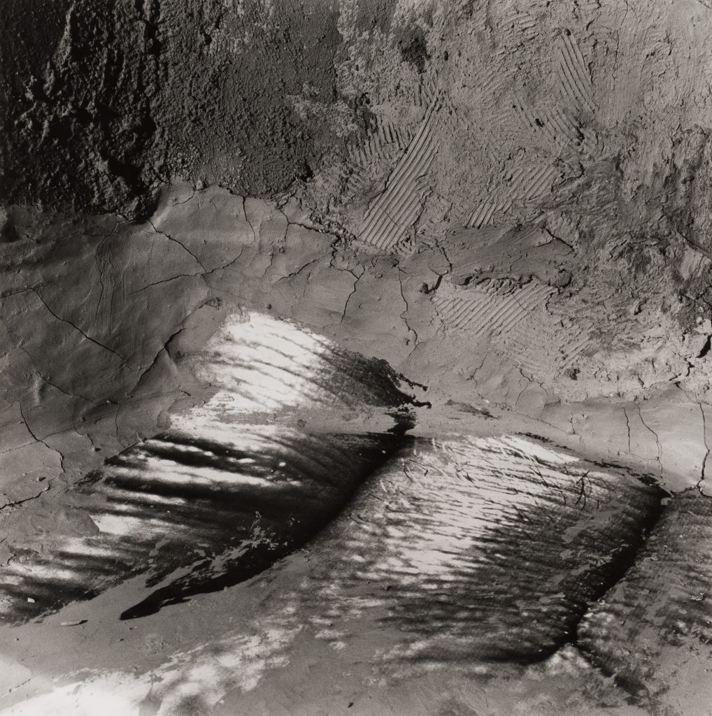 <i>Sans titre, 2001</i>
