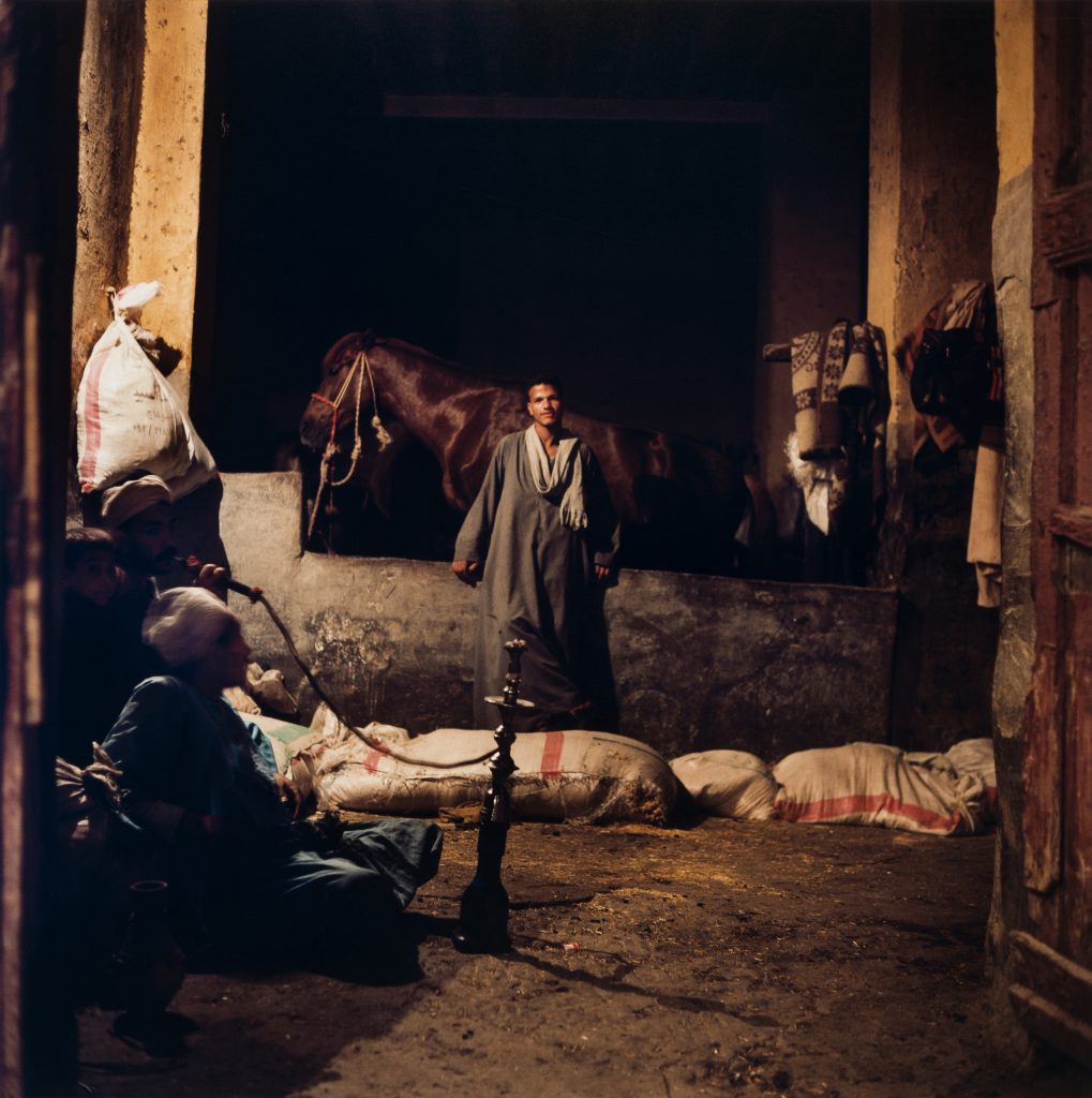 <i>Palefreniers à Alexandrie, 2002</i>