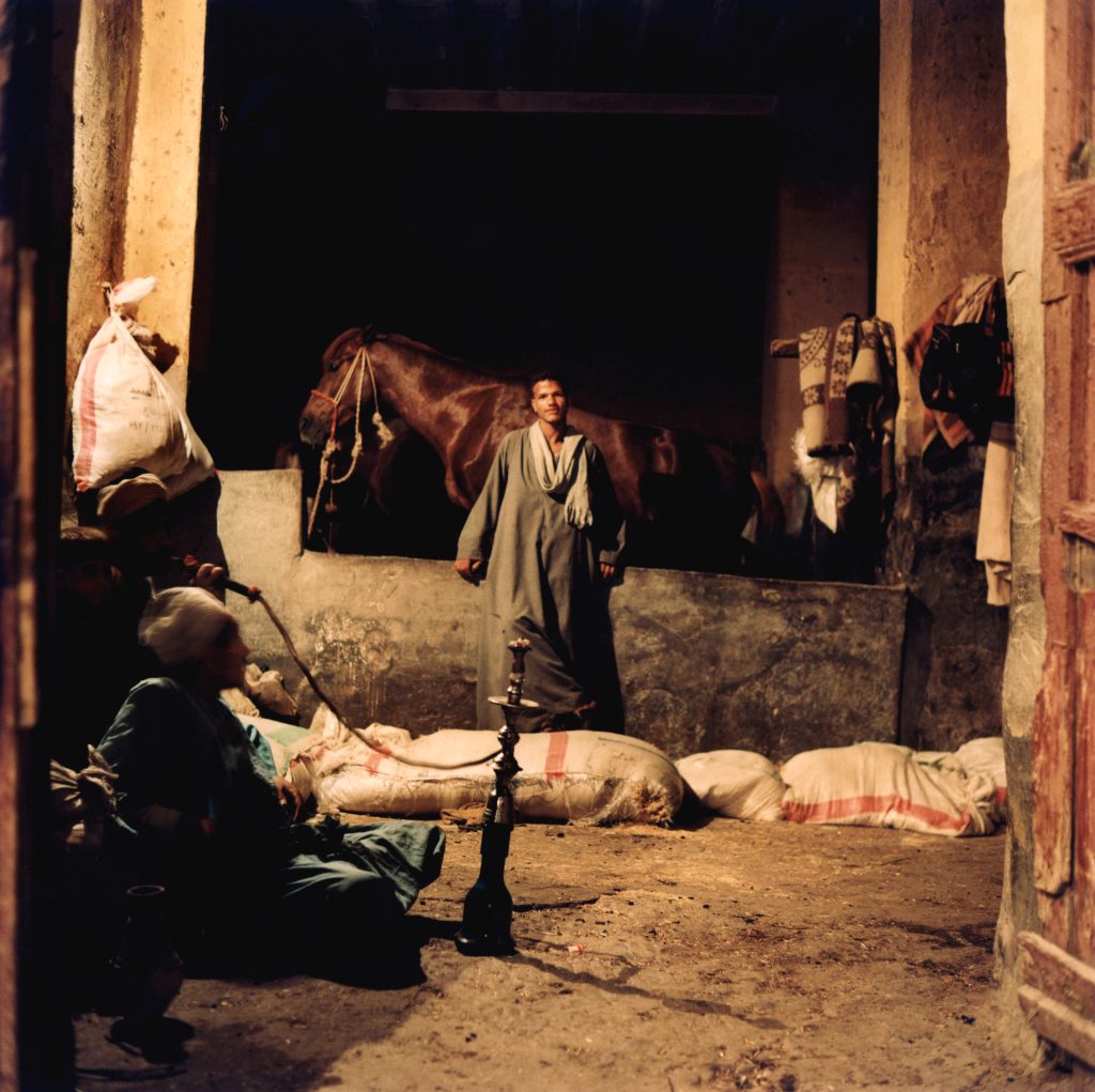 <i>Palefreniers à Alexandrie, 2002</i>