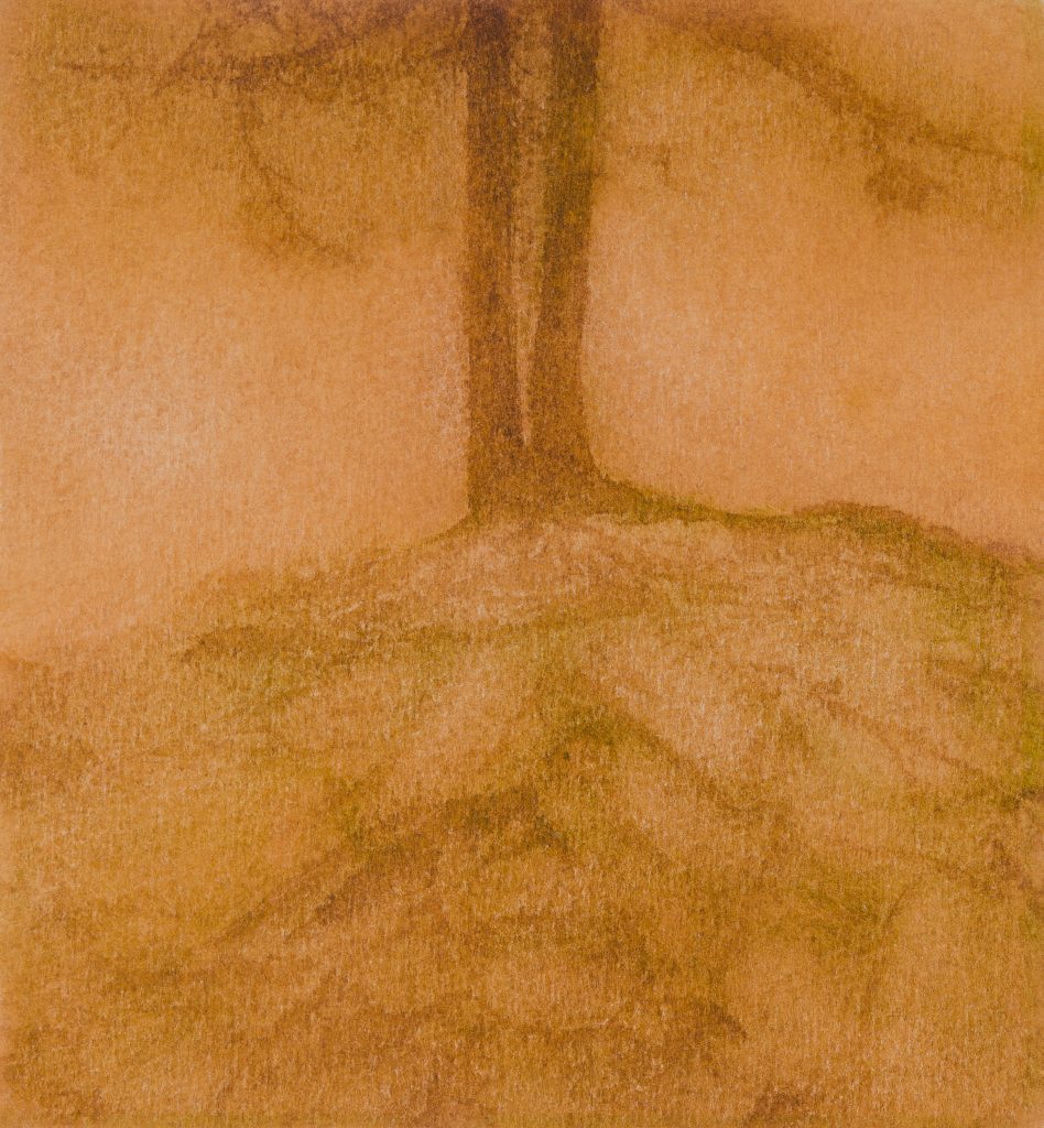 <i>Arbre nu, Villa Comba</i> <br/> série « Sous-bois »