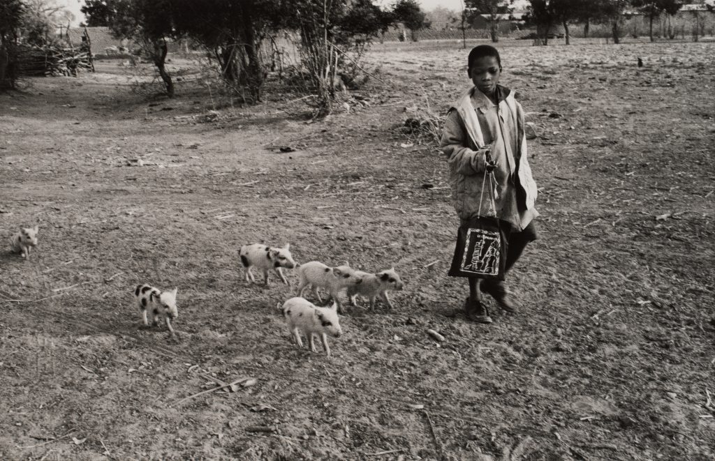 <i>Nintabougouro, Mali</i>