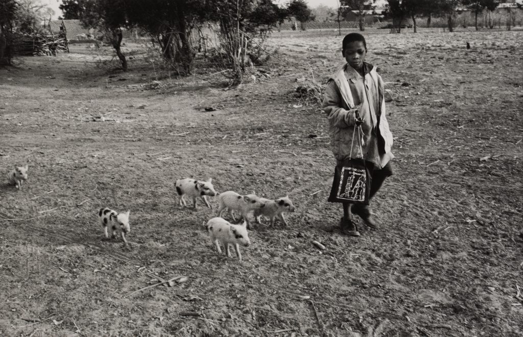 <i>Nintabougouro, Mali</i>