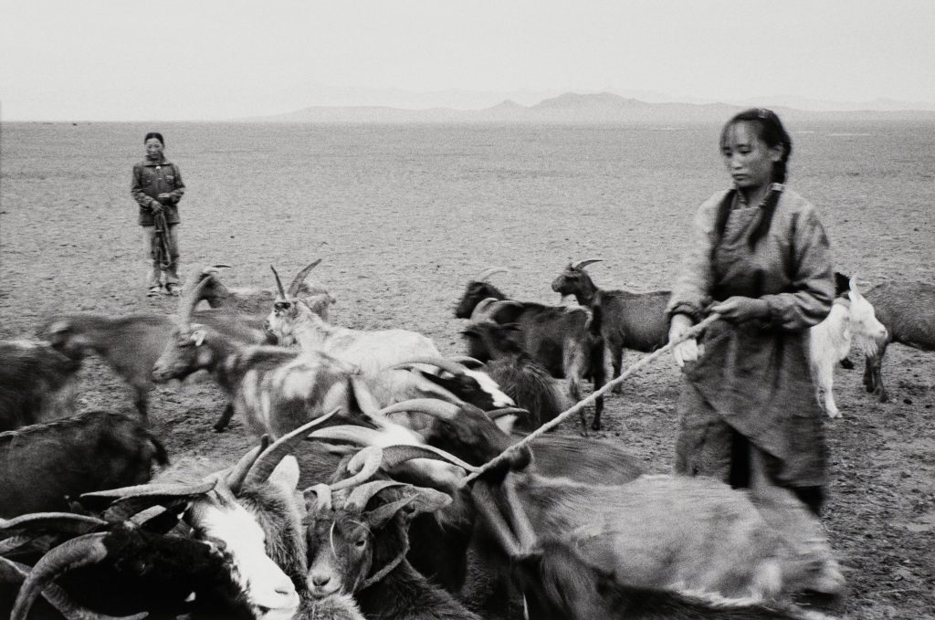 <i>Jeunes bergères, Mongolie</i>