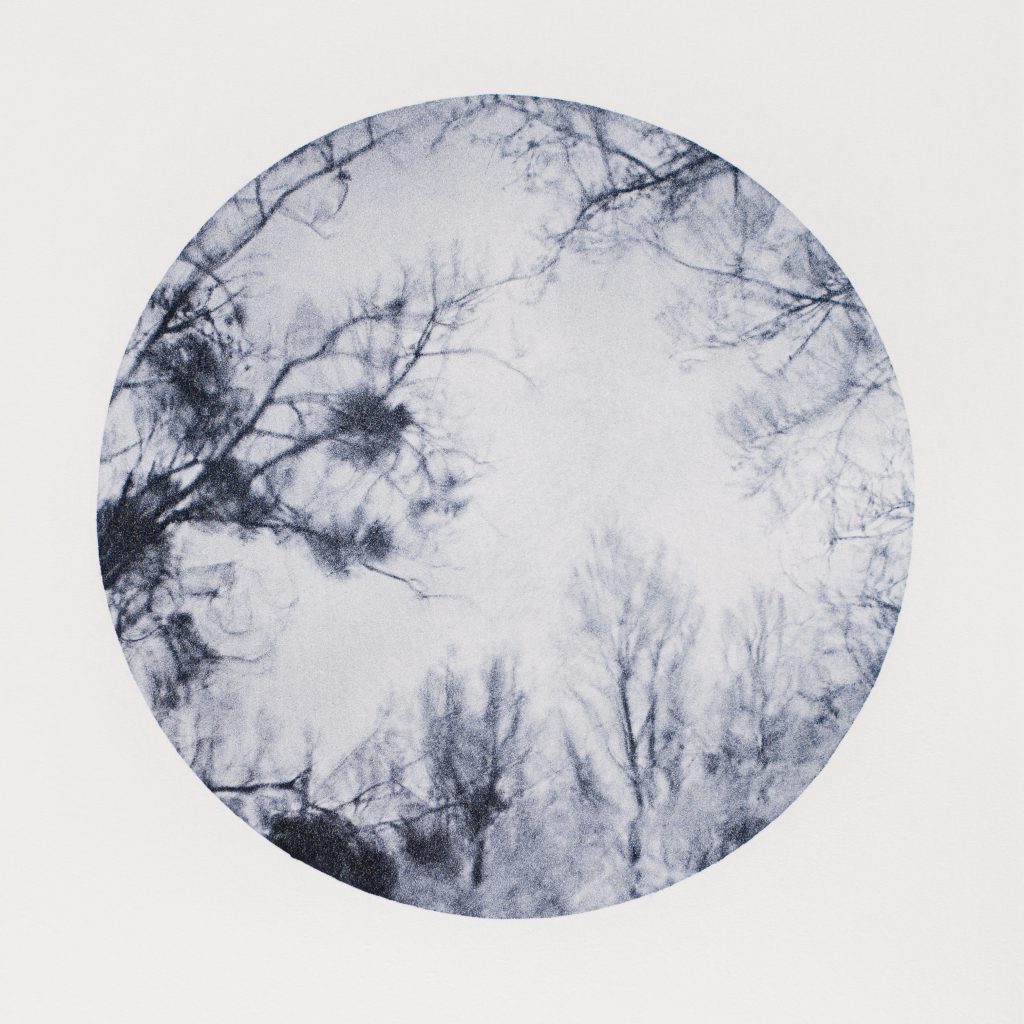 <i>Sans titre</i> <br/> série « Images d&rsquo;un monde flottant »