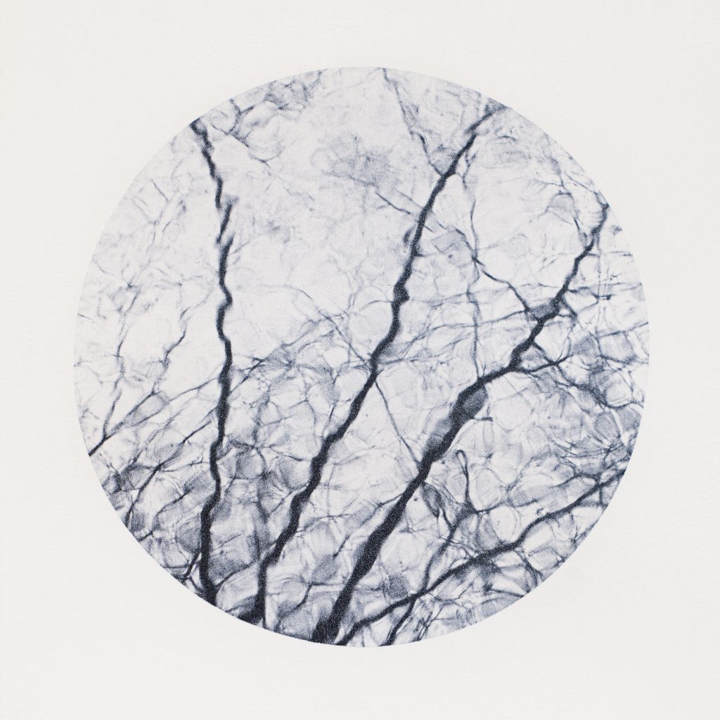 <i>Sans titre</i> <br/> série « Images d&rsquo;un monde flottant »