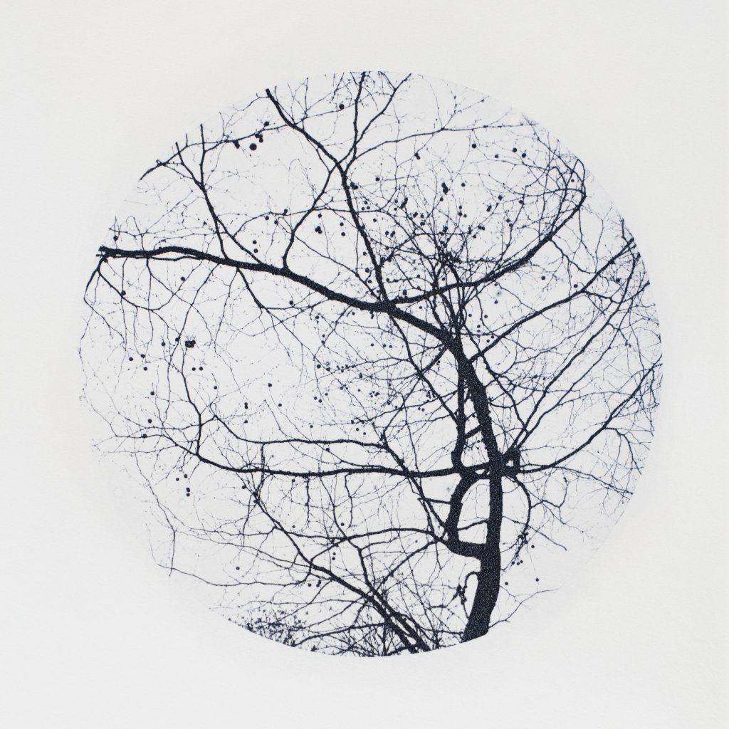 <i>Sans titre</i> <br/> série « Images d&rsquo;un monde flottant »