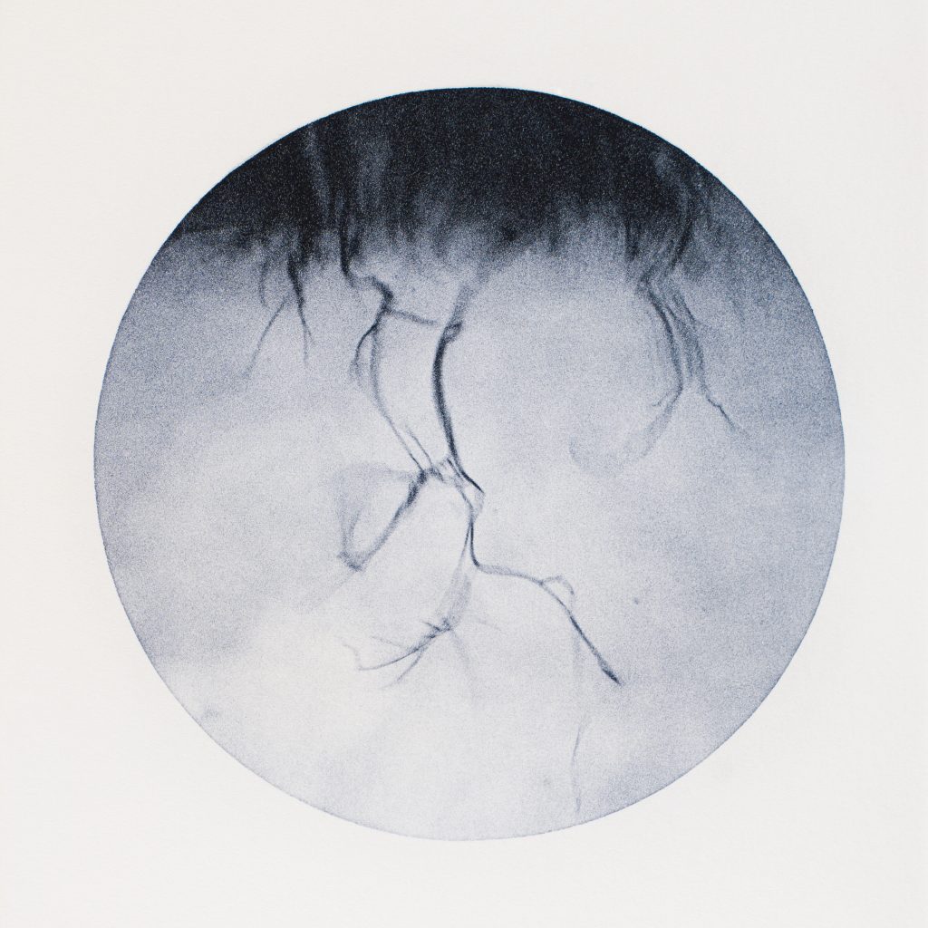 <i>Sans titre</i> <br/> série « Images d&rsquo;un monde flottant »