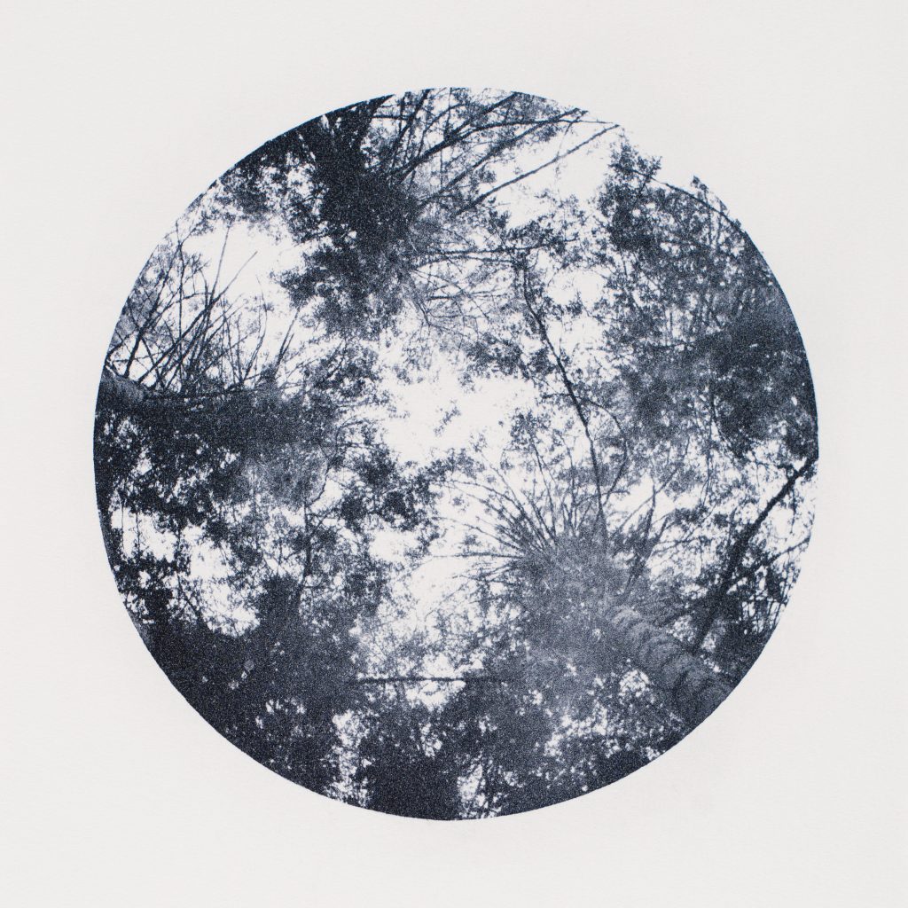 <i>Sans titre</i> <br/> série « Images d&rsquo;un monde flottant »