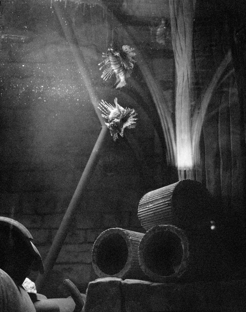 <i>Untitled (Angel)</i> <br/> série « All Things Laid Dormant »