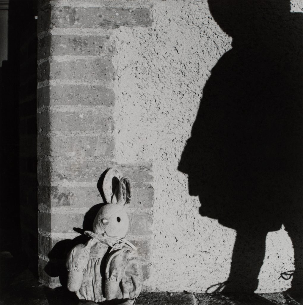 <i>Le Lapin d’Hélène, Espaon</i> <br/> série « Vents d’Autan »